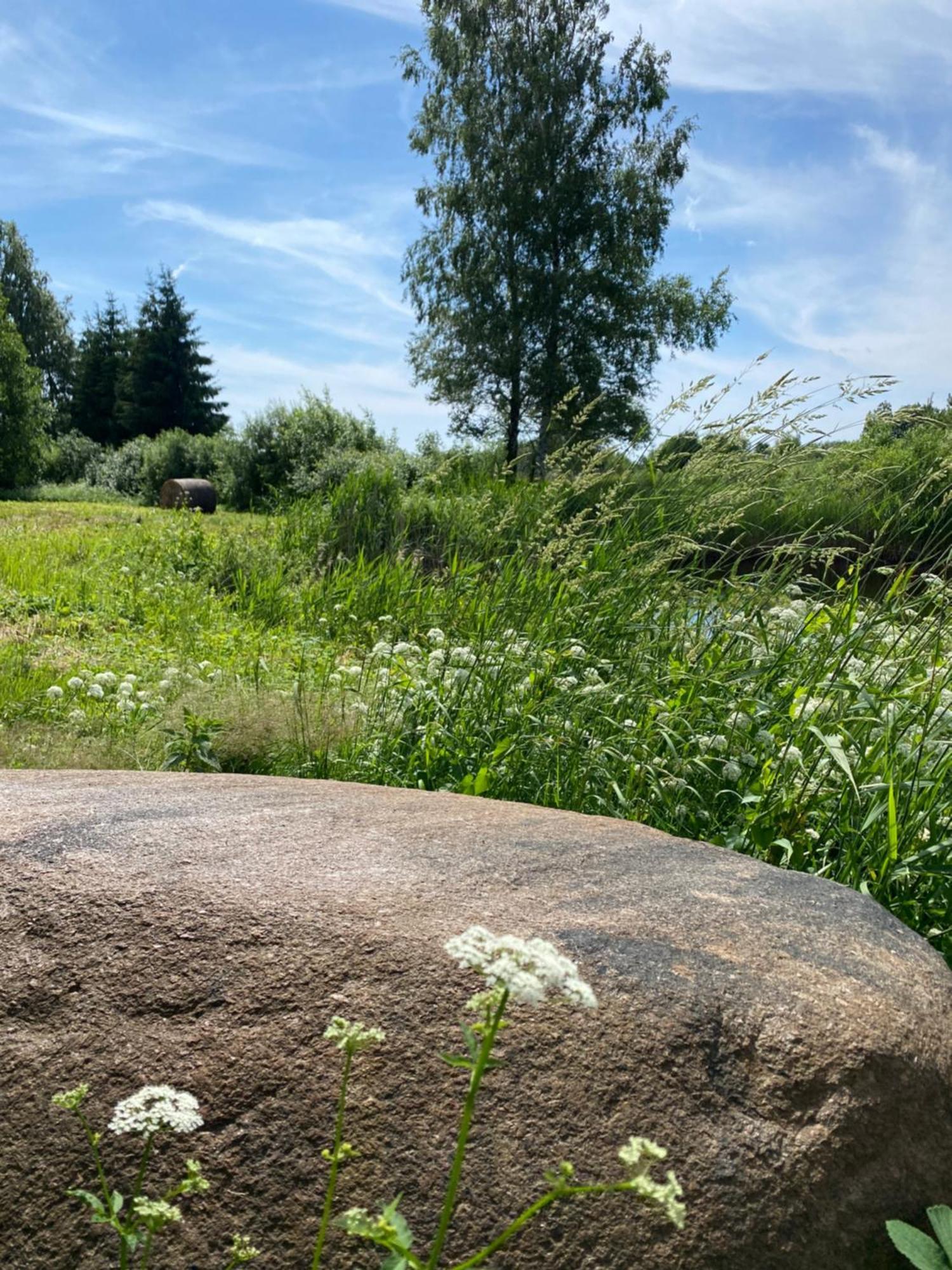 Suurkivi Nature Escape Häädemeeste Екстериор снимка